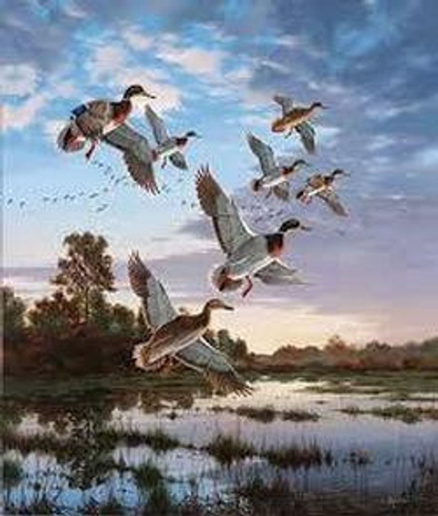 Carla Kay "Sissy" Magee