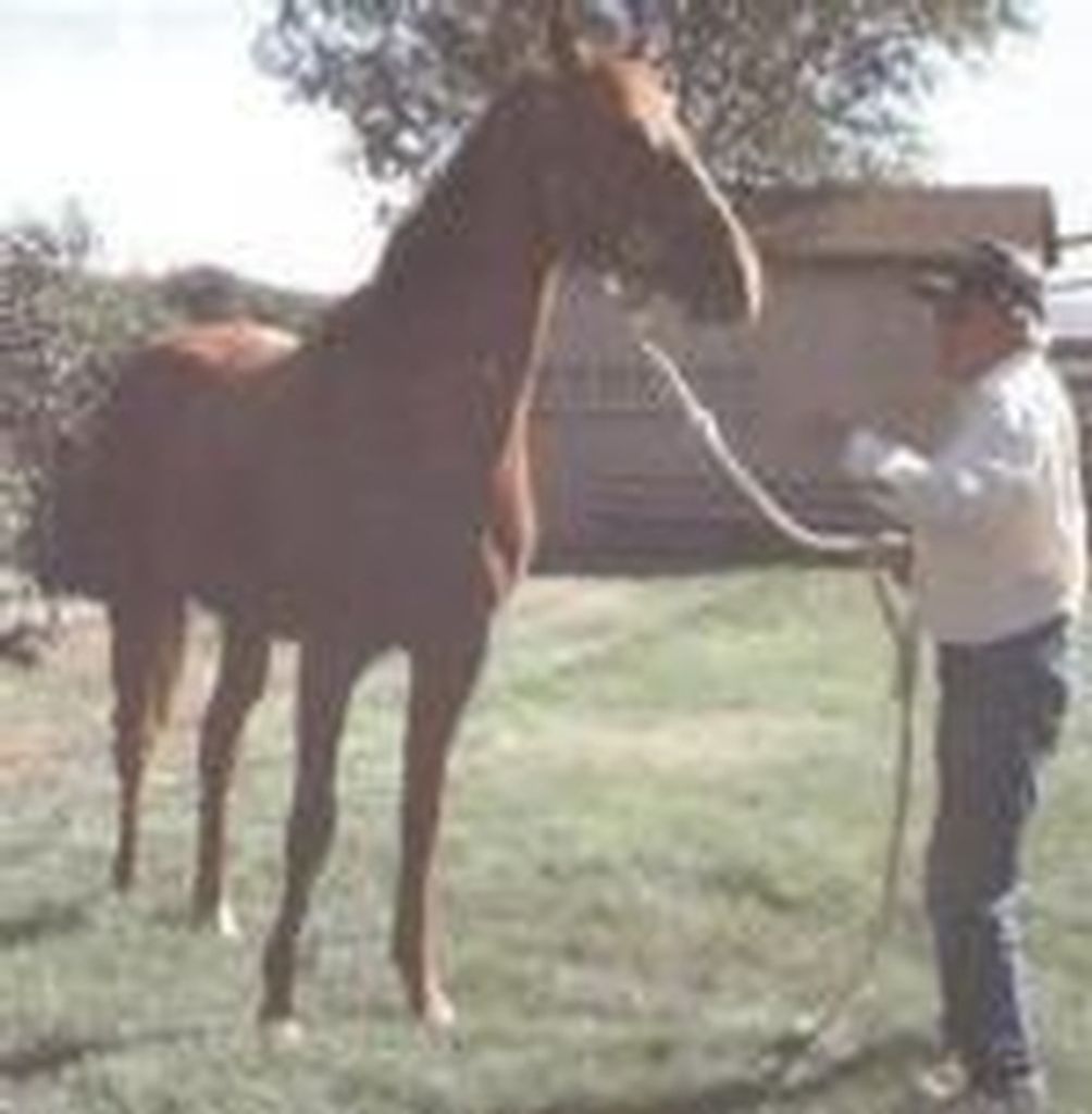 Clarence "Scott" Scott