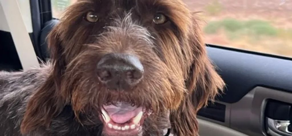 Duncan Profile Photo