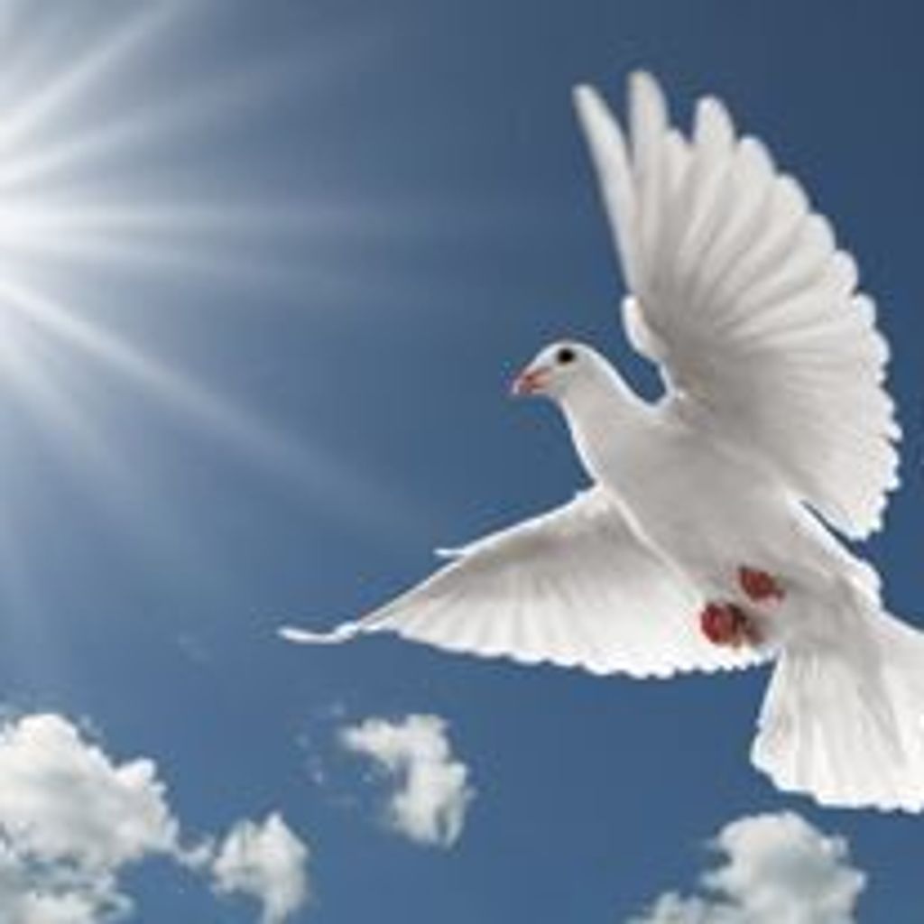 Anna Jene Burdette Profile Photo