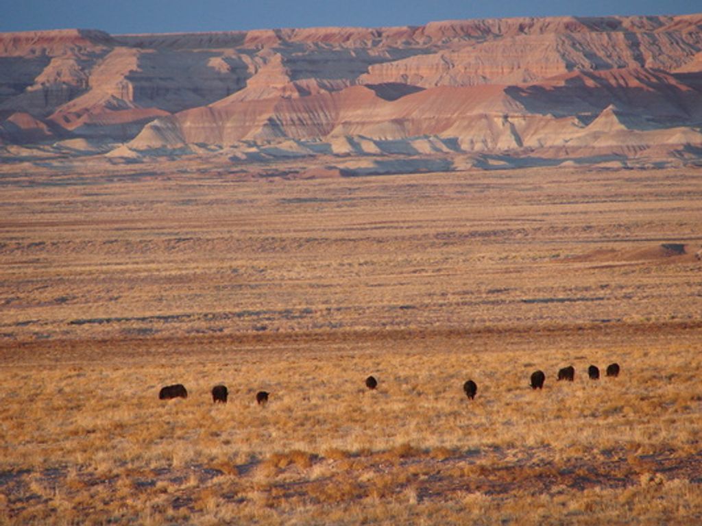 Floyd Hahn Profile Photo