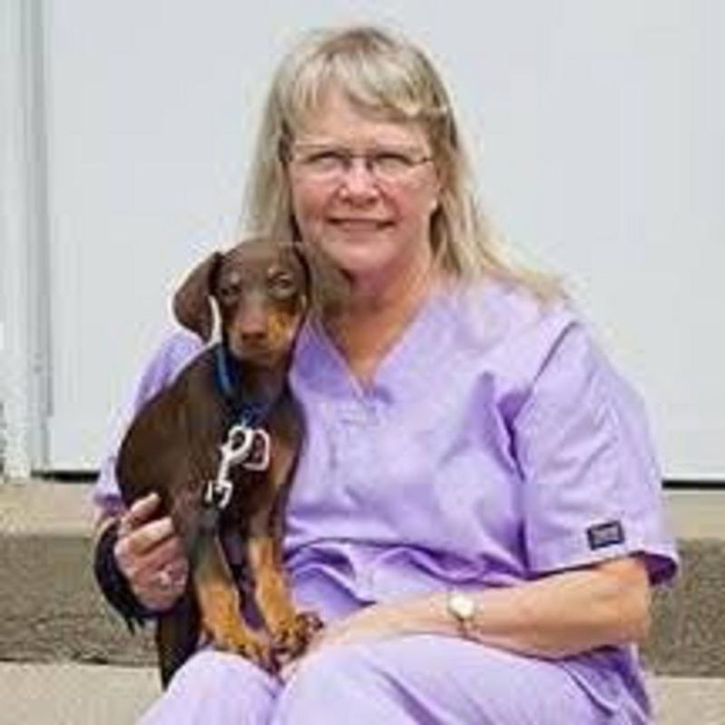Sherry L. Hoffeld Profile Photo