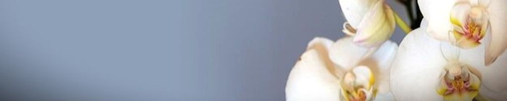 Cover photo for Beverly (Wear) Statter's Obituary