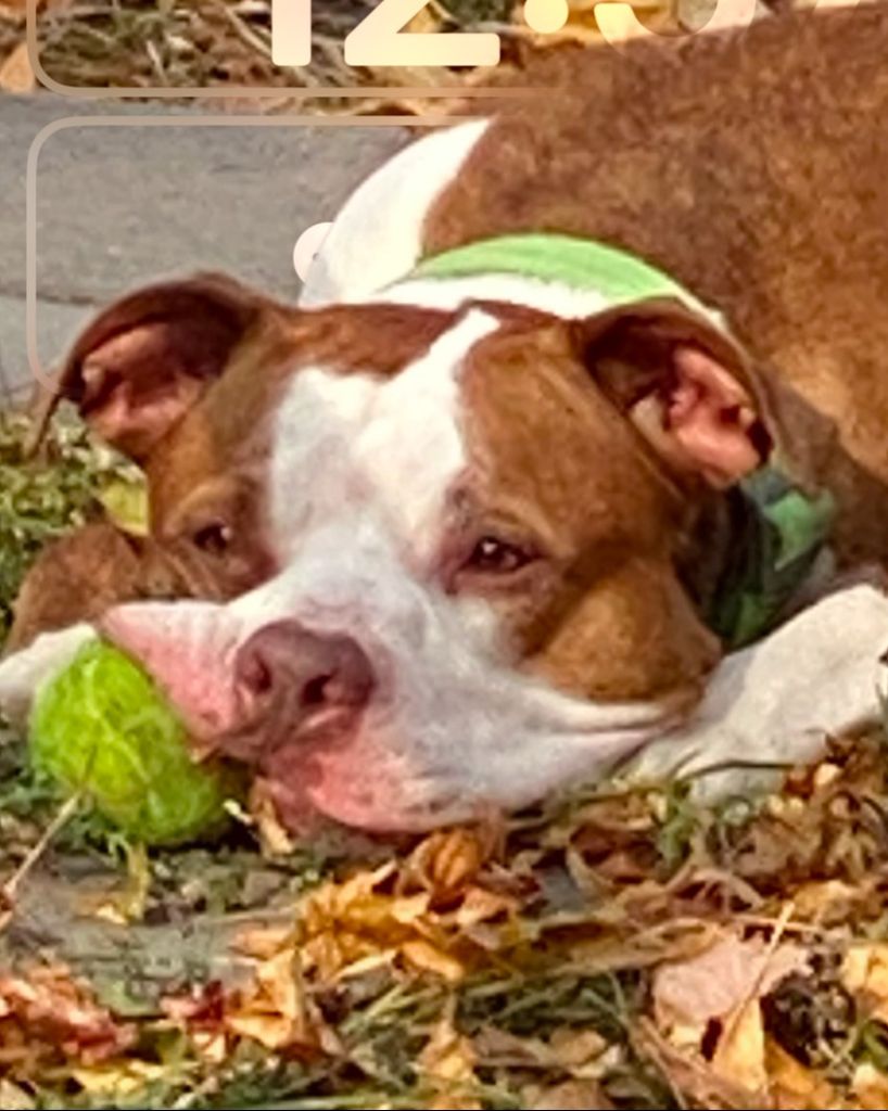 Junior Profile Photo