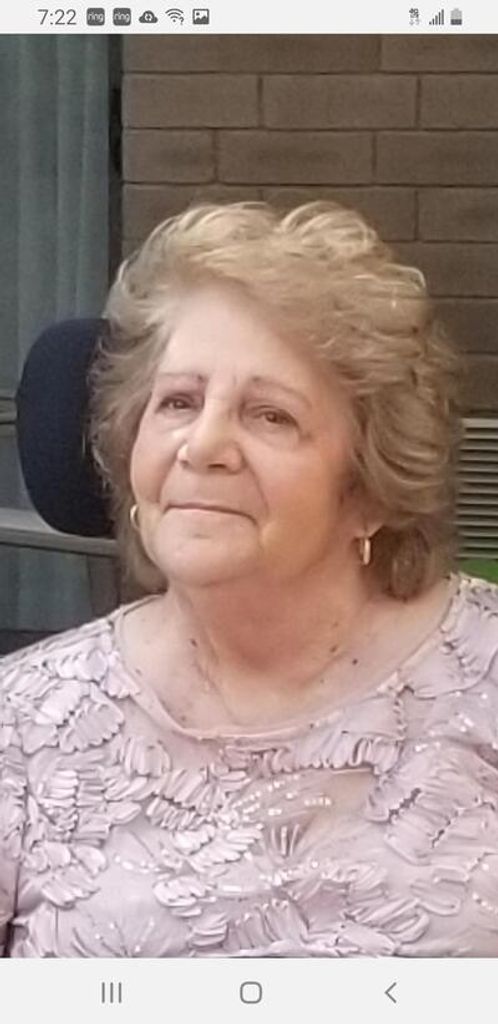 Josephine M. Petruzzella Profile Photo