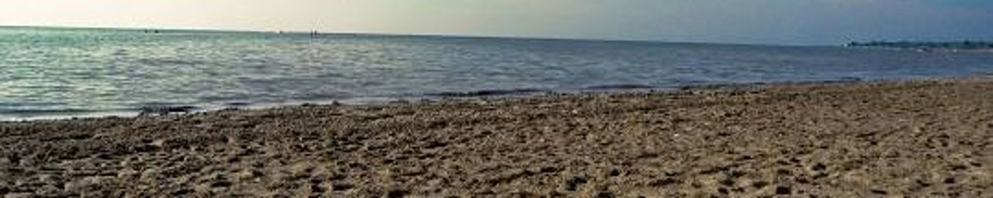 Cover for Lynnea R. Matthews's Obituary