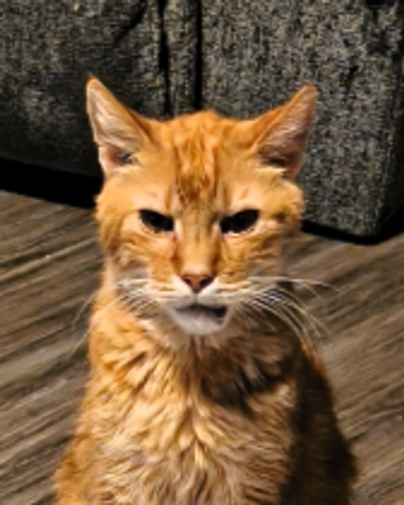 Aries Burge Profile Photo