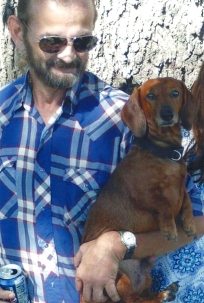 Lynn Morgan Maciejewski Profile Photo