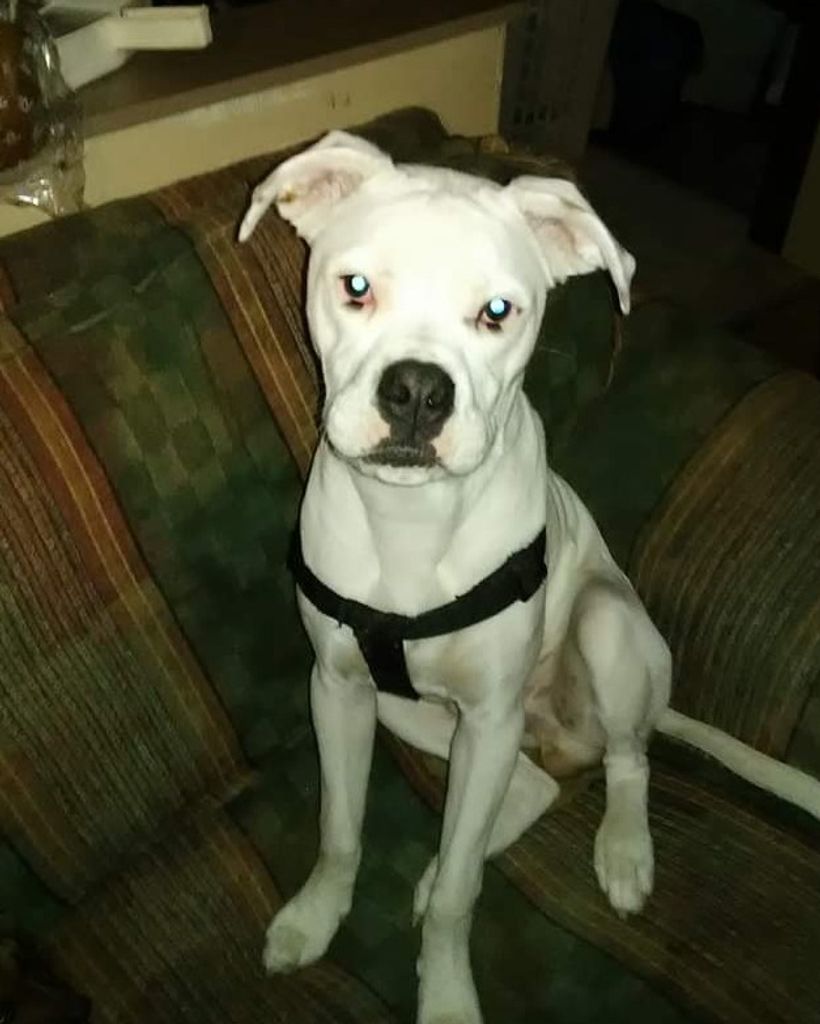 Outlaw Hinkle Profile Photo