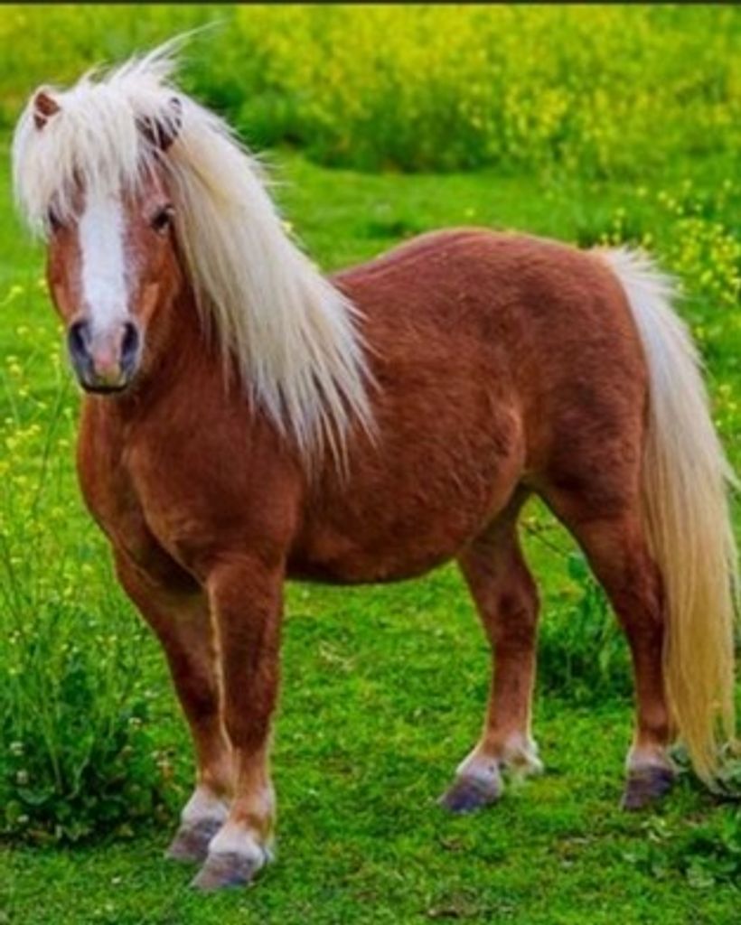 Wilda G. Womer Profile Photo