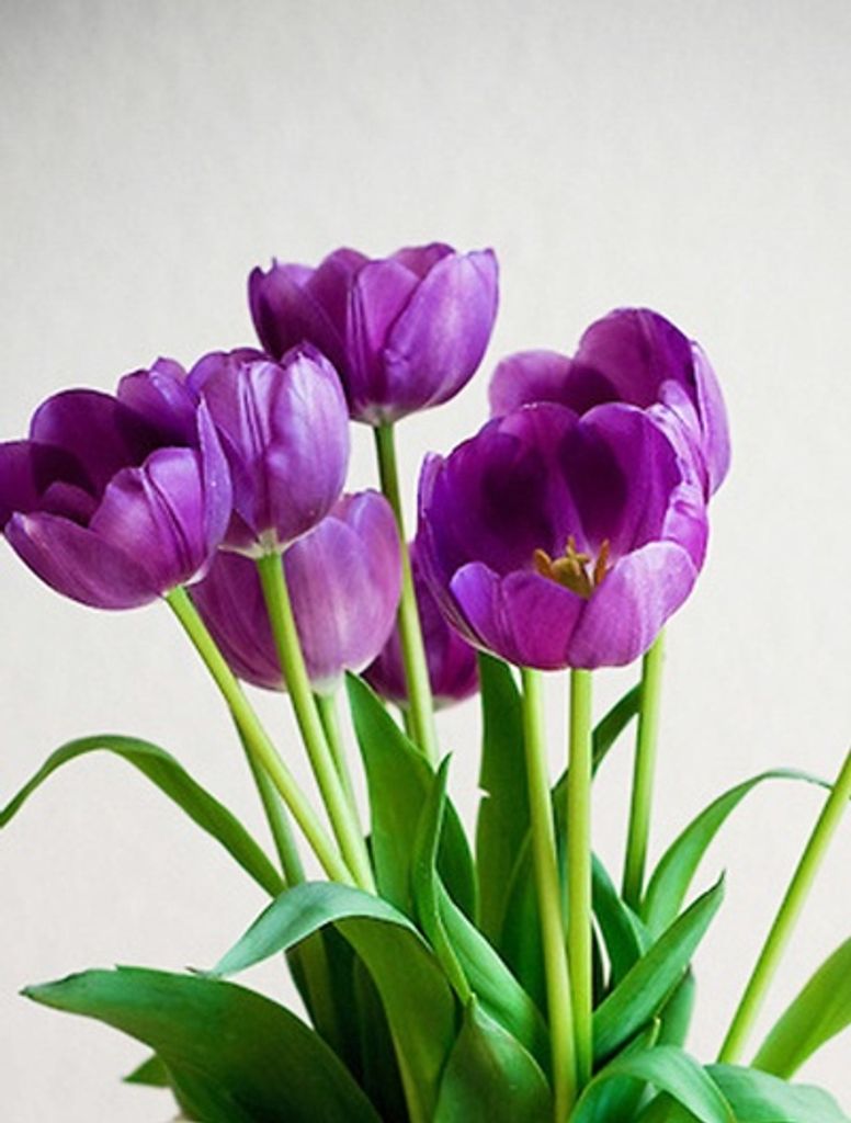 Jennifer "Jennie" Blackwell