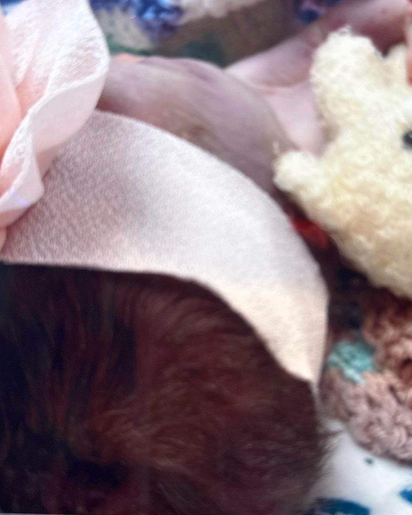 Penelope "Penny" Grace Levier