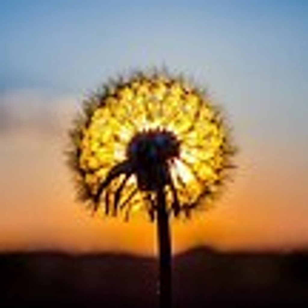 James Mullins Profile Photo