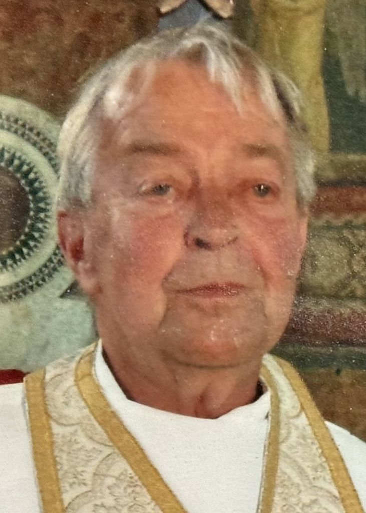 Rev. Fr. David John Halaiko Profile Photo