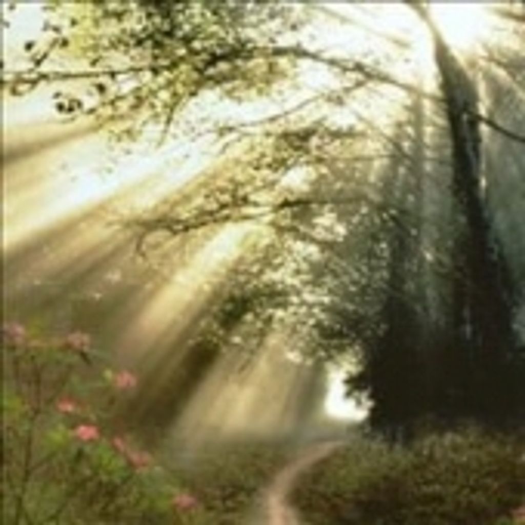 Robert Parker Jones, Jr