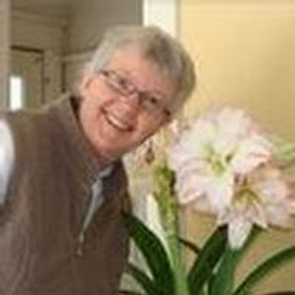 Sally J. Scott