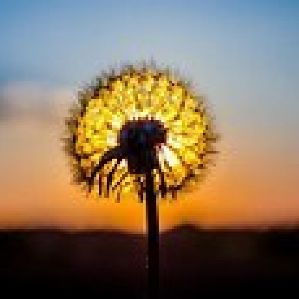 Steven Charles Bullard Profile Photo