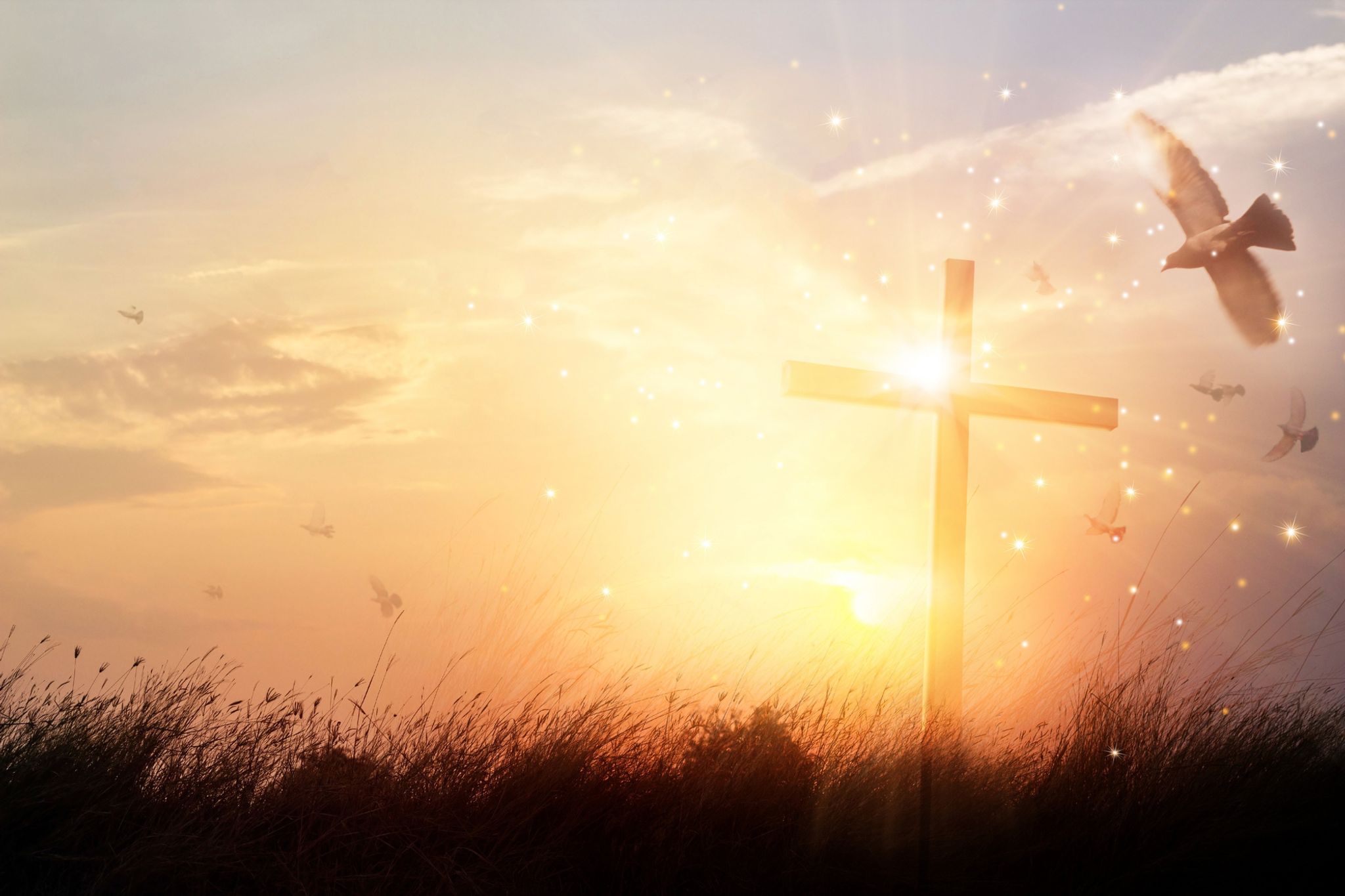 Cover photo for Weston "Dottie" Hill's Obituary