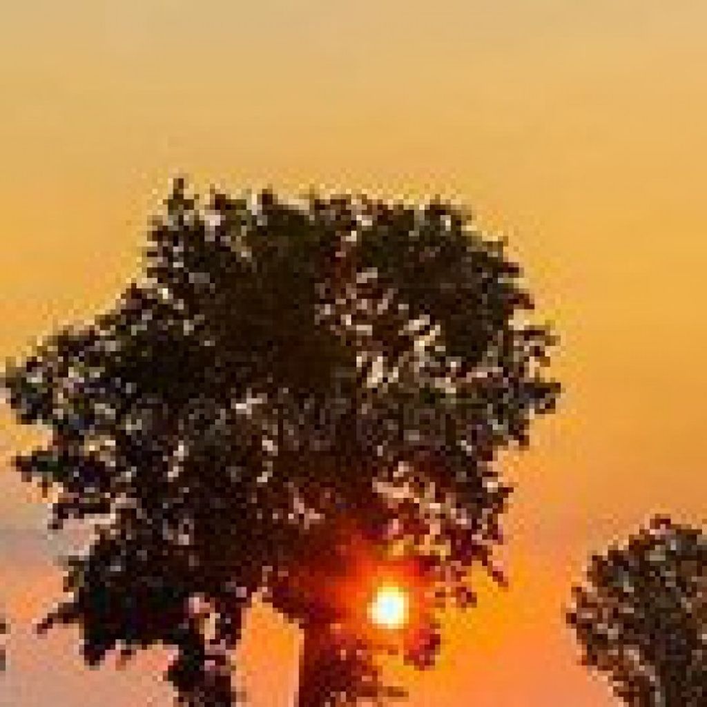 Donald Leroy Yost Profile Photo