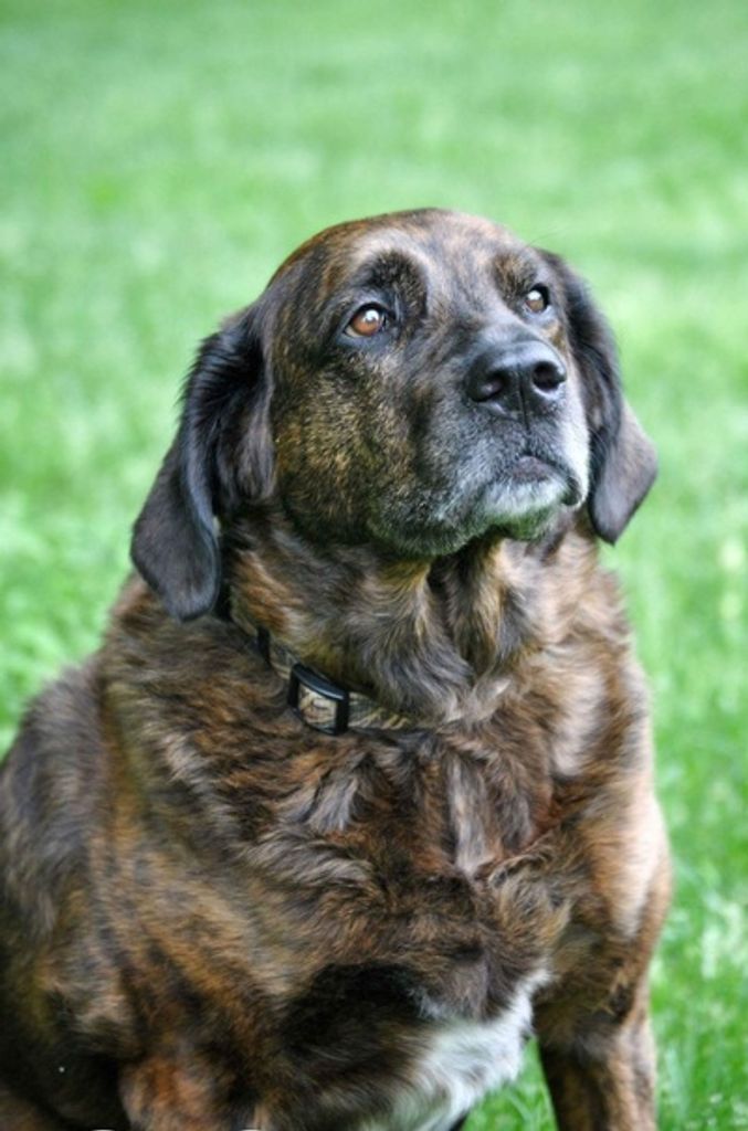 Bailey Faggion Profile Photo