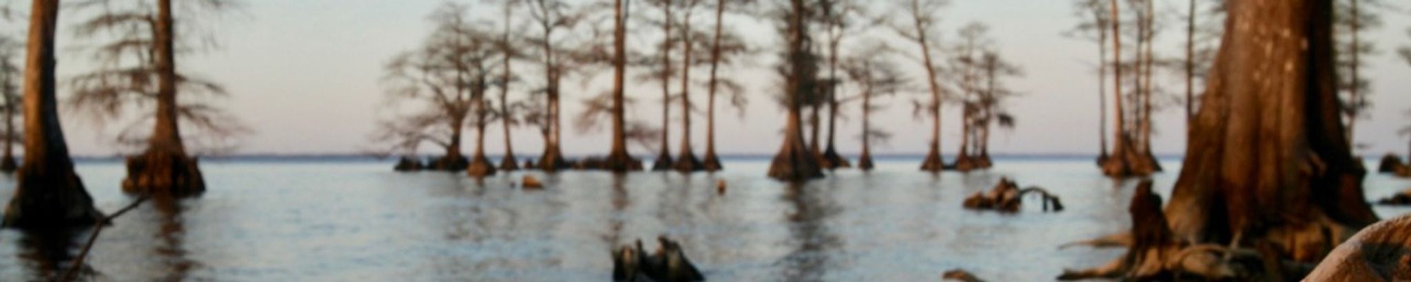 Cover photo for Cassondra Lee Ivey's Obituary
