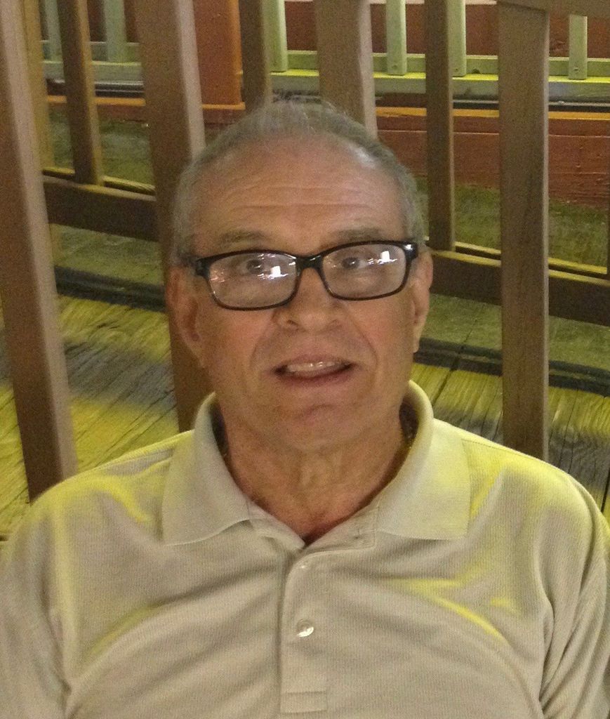 Nicola Pisani