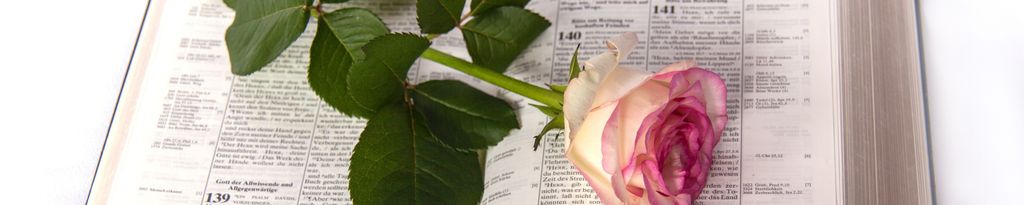 Cover photo for Pamela Dene Whitney's Obituary