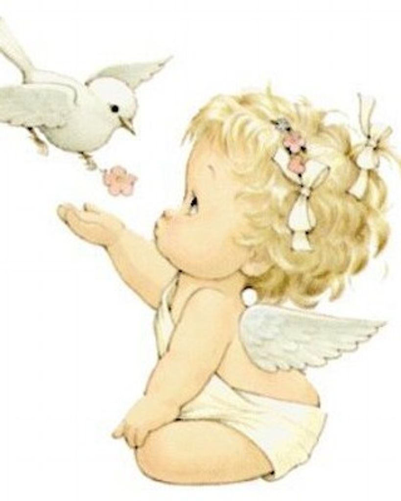 Kaylynn Hart Morris Profile Photo