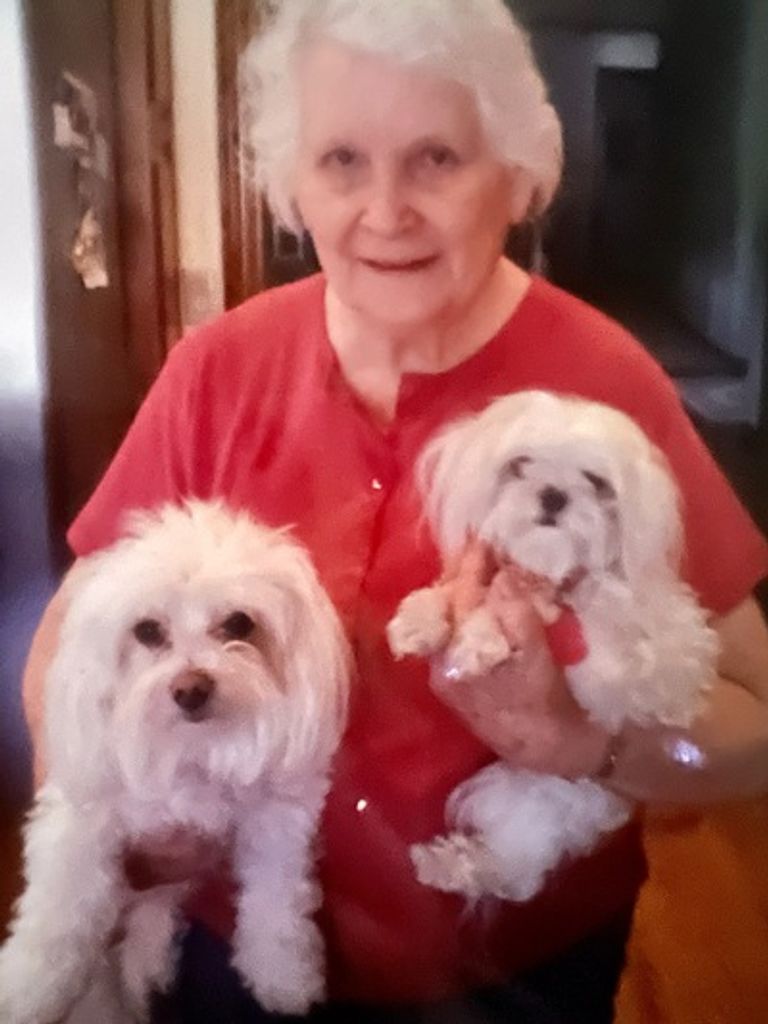 Ila Gibbons Profile Photo