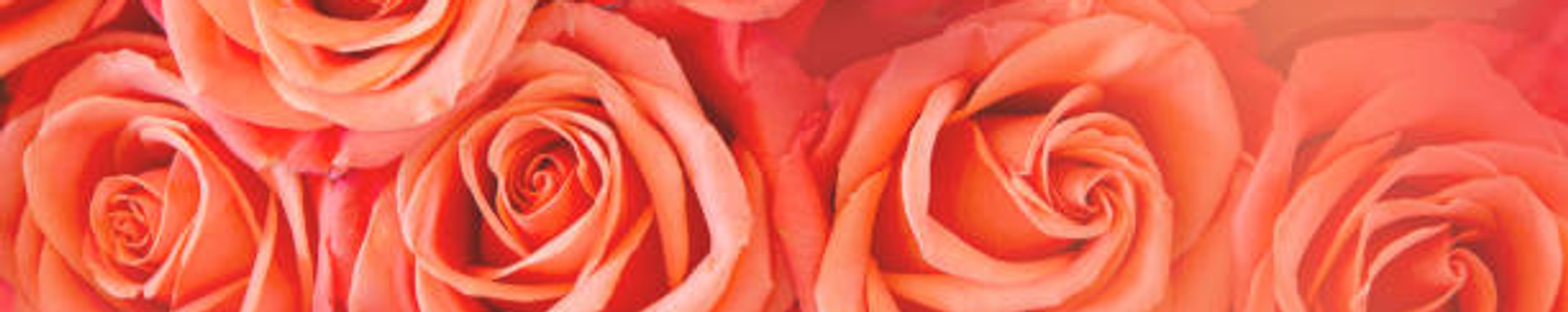 Cover for Doris Louise Ervin's Obituary