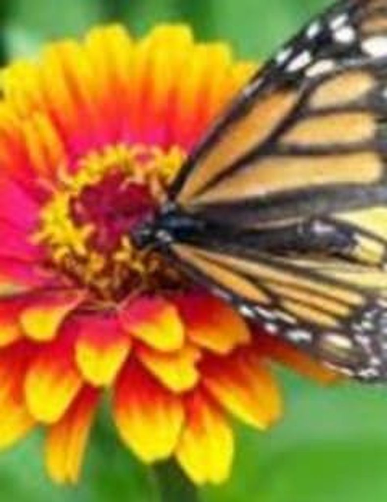 Juanita Abernathy Allen Profile Photo