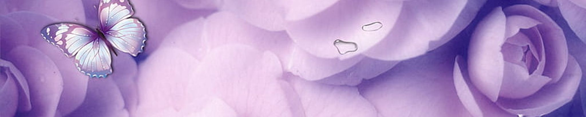 Cover for Beverly Desrosiers's Obituary