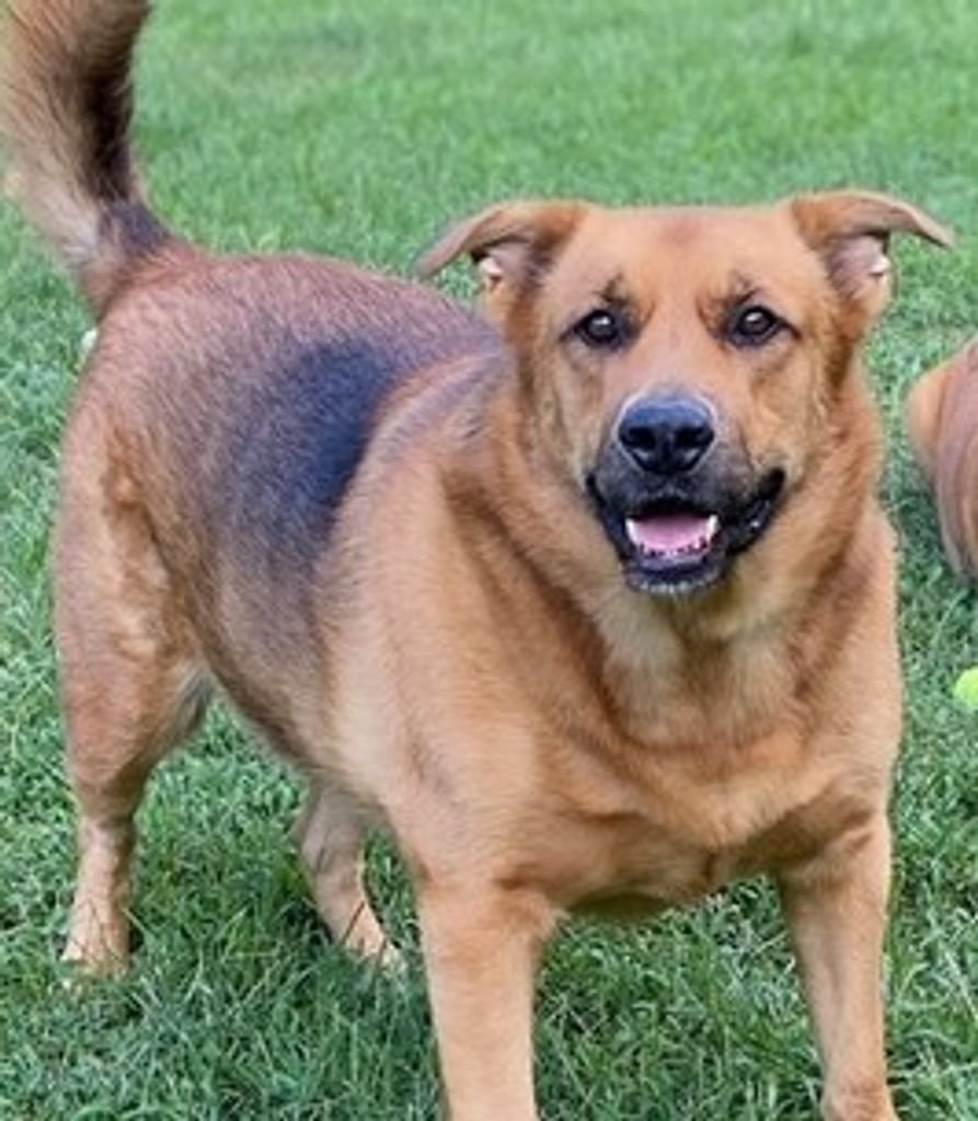 Waylon Carmine Profile Photo