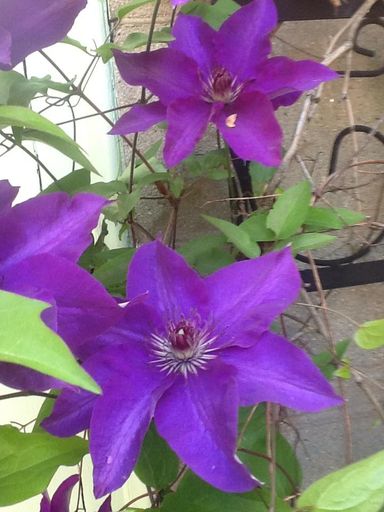 Sandra L. Stowers photo gallery thumbnail 6 of 100