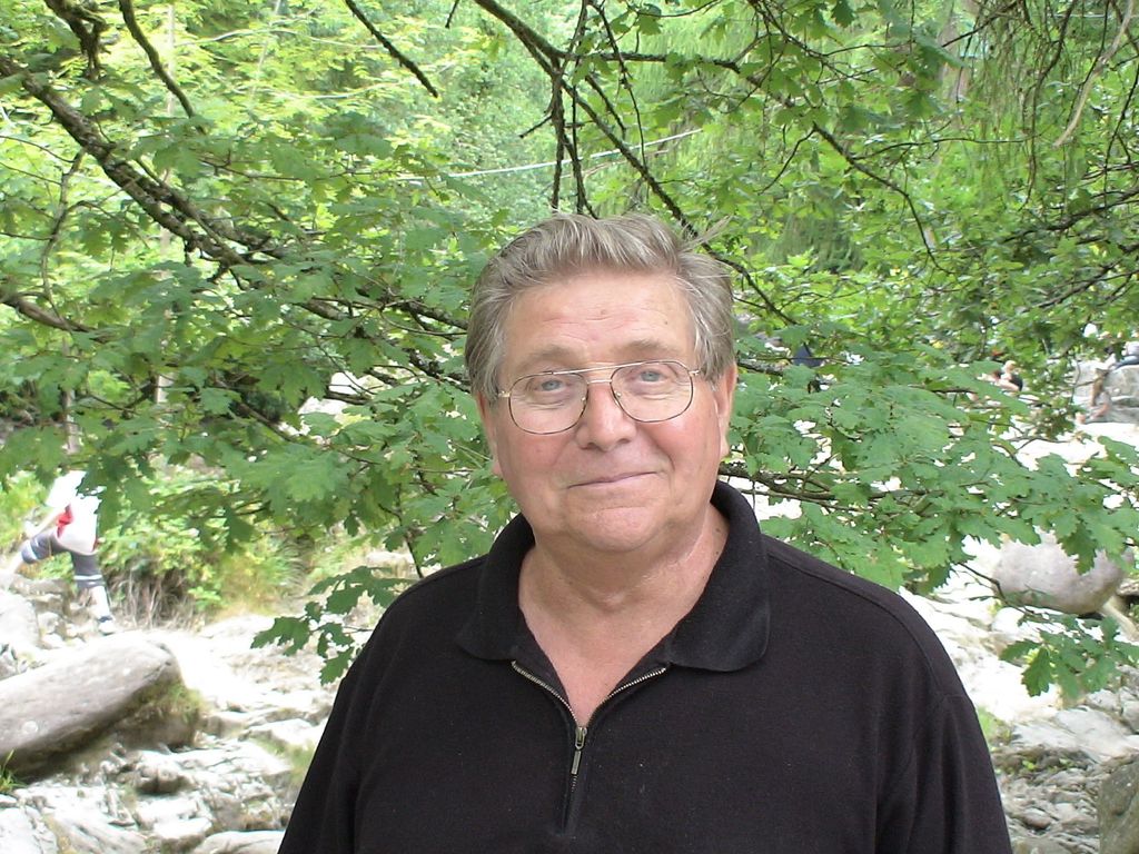 Albert Peter Pritchard