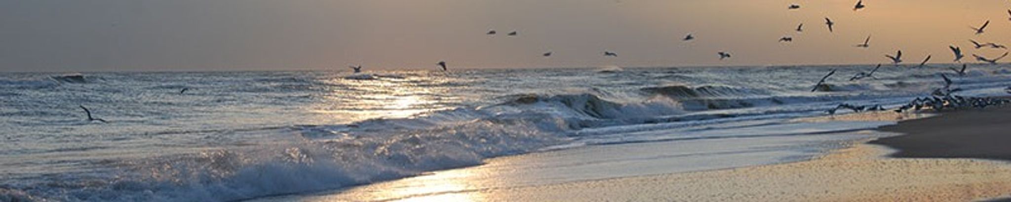 Cover for Joyce H. Sexton's Obituary