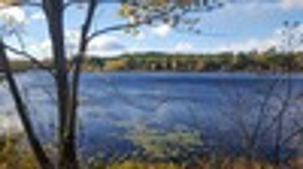 William Norrell Profile Photo