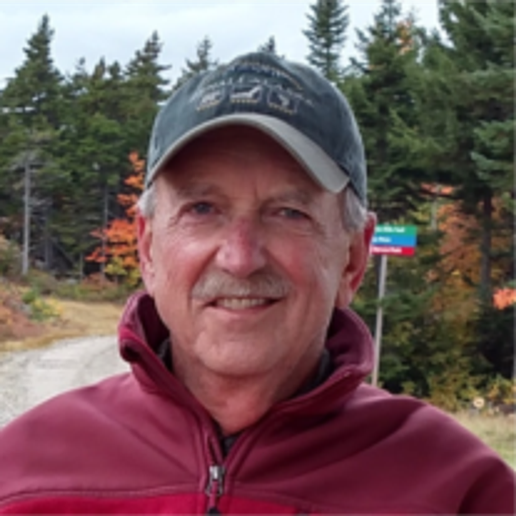 Bruce Domenico Vanni