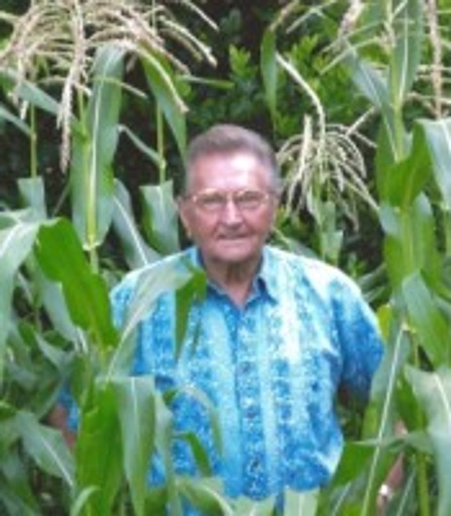 Walter  T. Vick,  Jr
