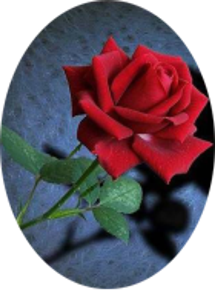 Raymond Peter Yacyshen