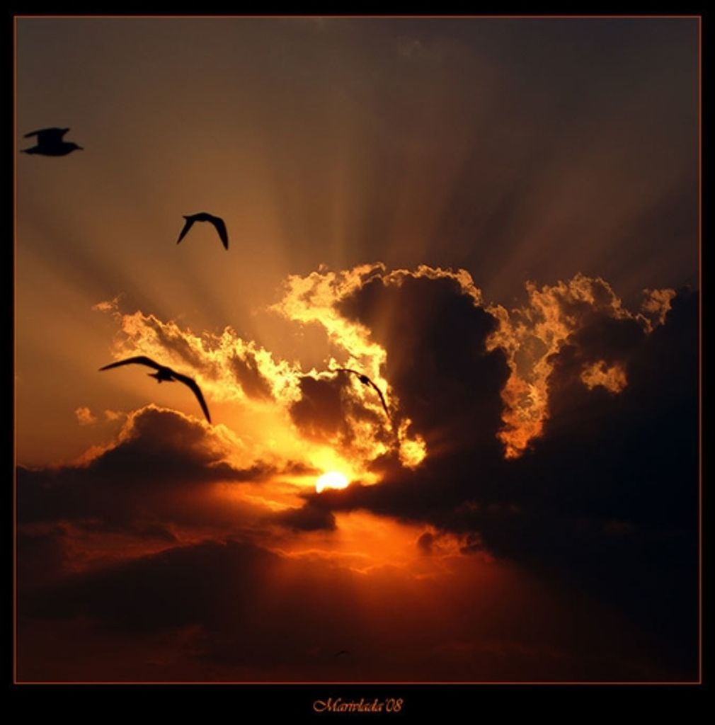 Wallace R. "Wally" Anderson Profile Photo