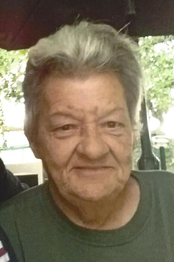 Dorothea Ann (Leidy)  Snow