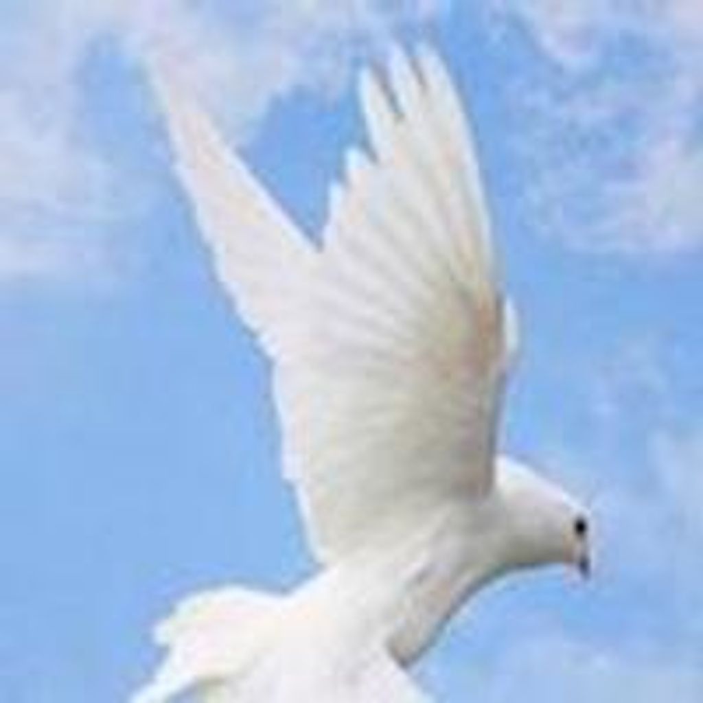 Carol Seldomridge Profile Photo