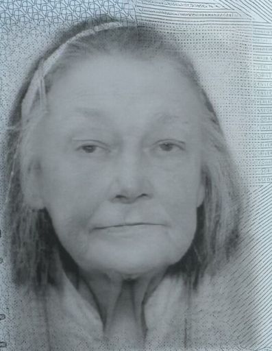 Marjorie (Warlamont)  Bailey Profile Photo