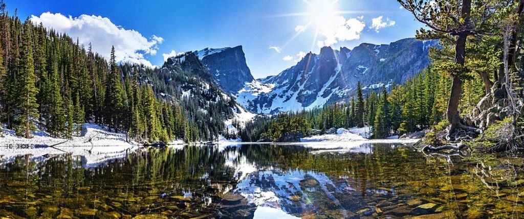 Donald Melvin Propeck Profile Photo