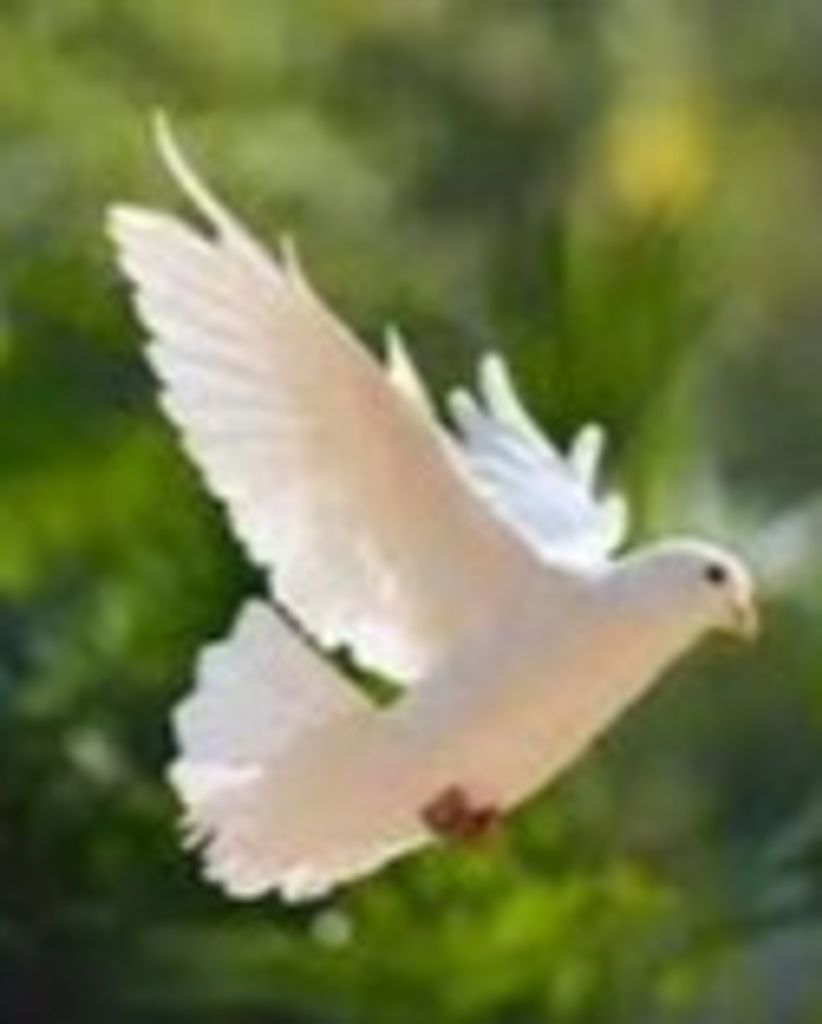 James Gordon Haskell Profile Photo