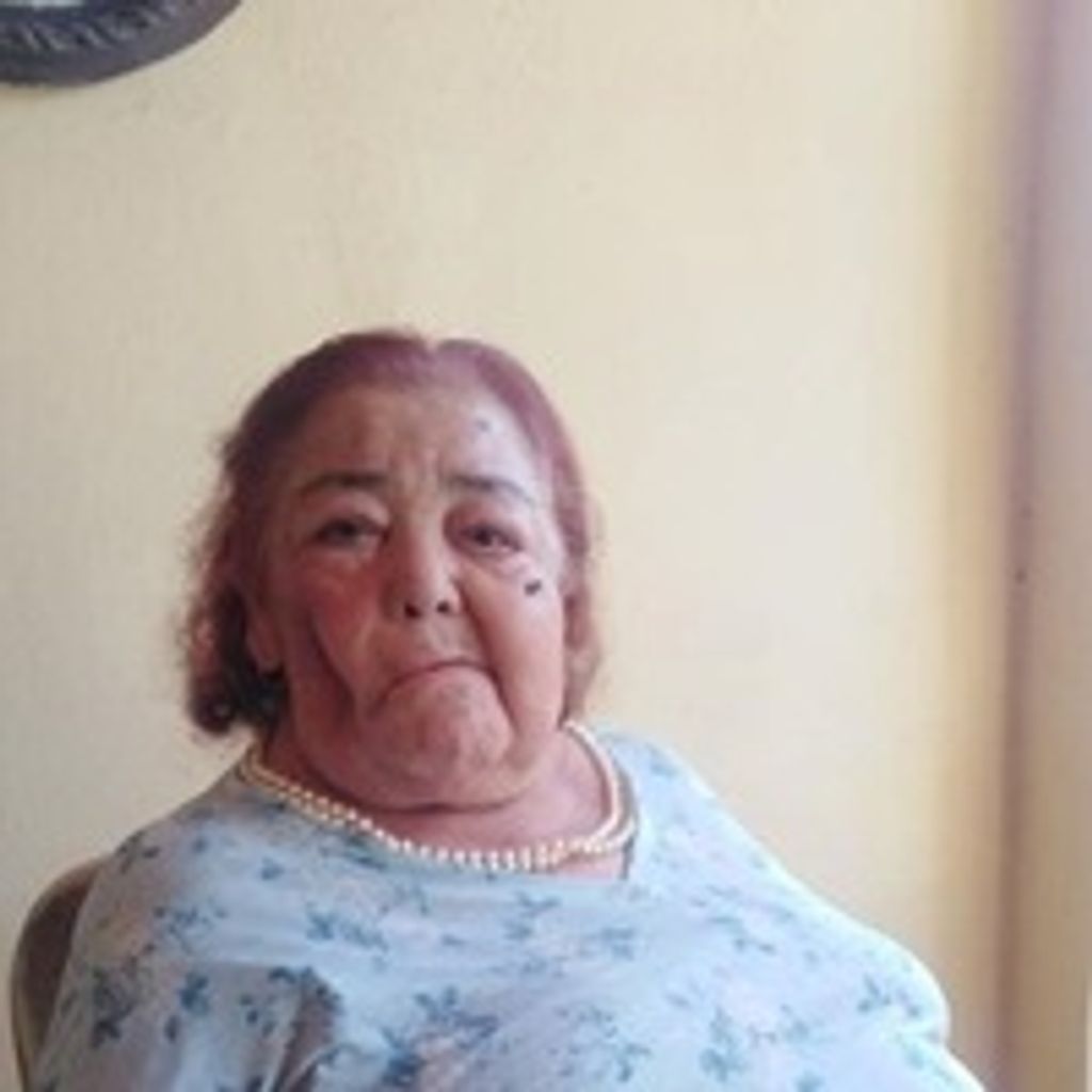 Ma Amparo Lopez-Robles