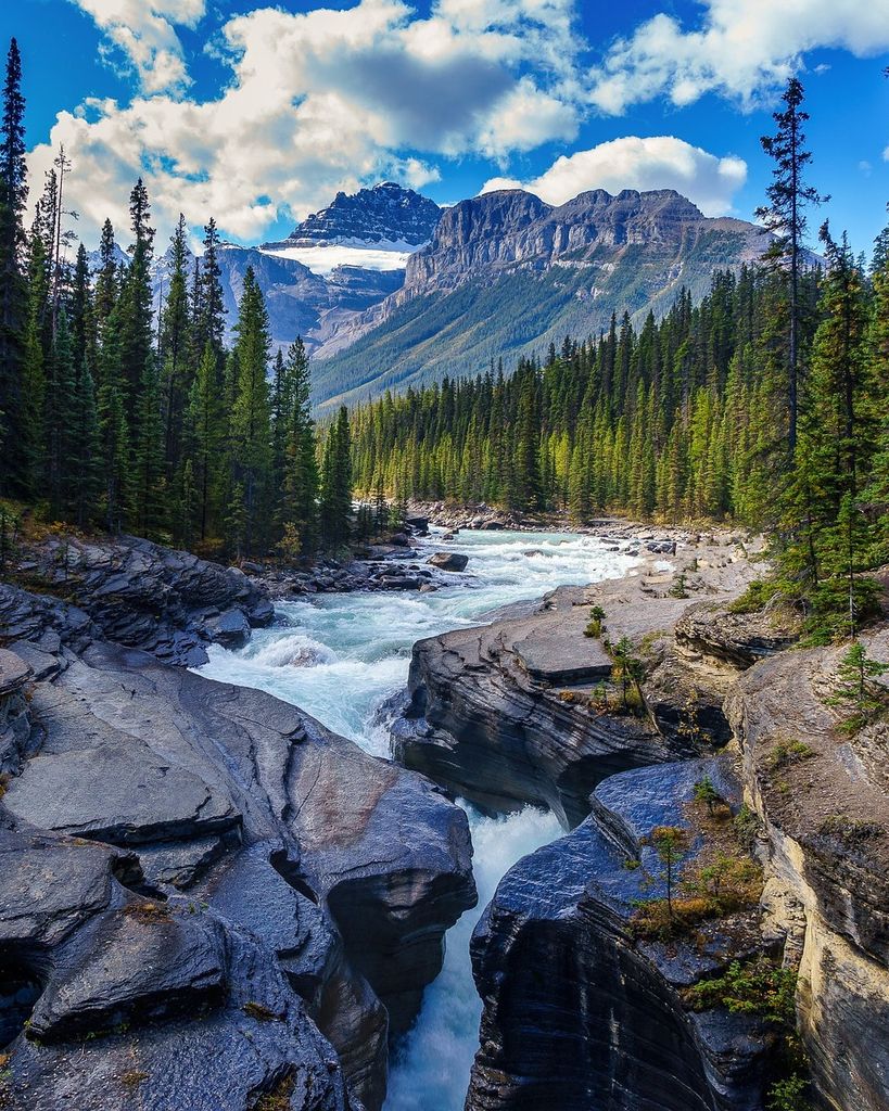 David Ralph Grigg Profile Photo