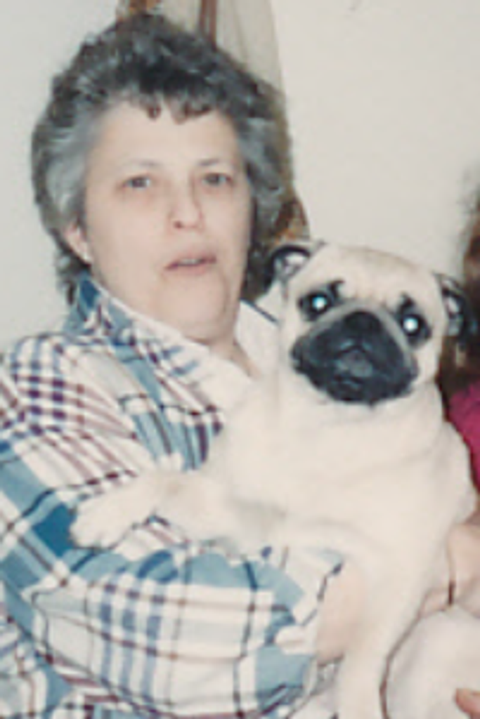 Judith A. (Smedile) Lewis Profile Photo