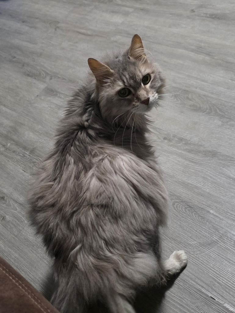 Annie Profile Photo